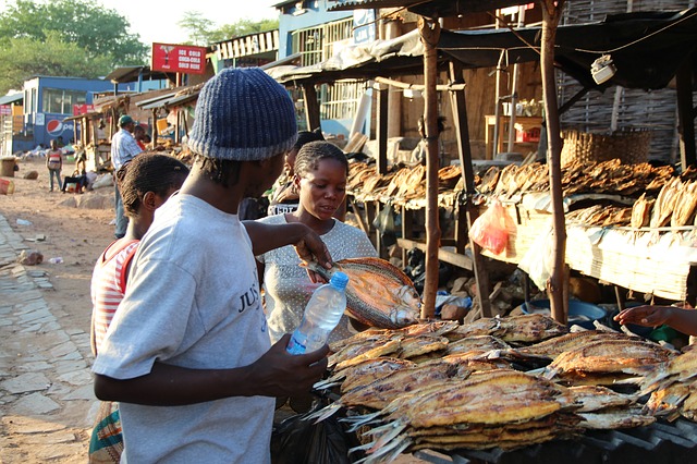 trh na suché ryby